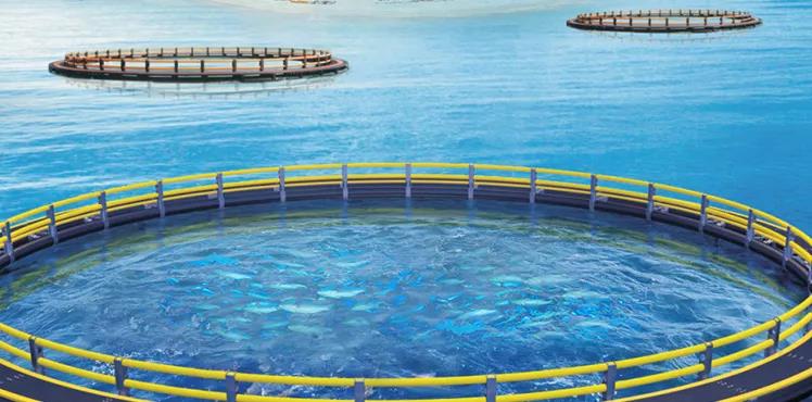 從零開(kāi)始 | HDPE管材——風(fēng)浪中的傾情守護(hù)