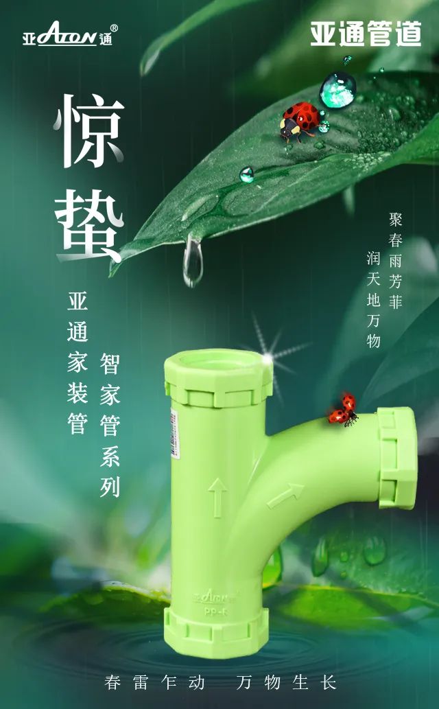 驚蟄 | 聚春雨芳菲，潤天地萬物