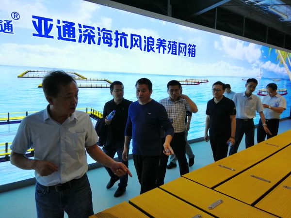 1602318600533163.jpg 77664a2e886fb007e59415be2ef51ecd-sz_7951780.jpg