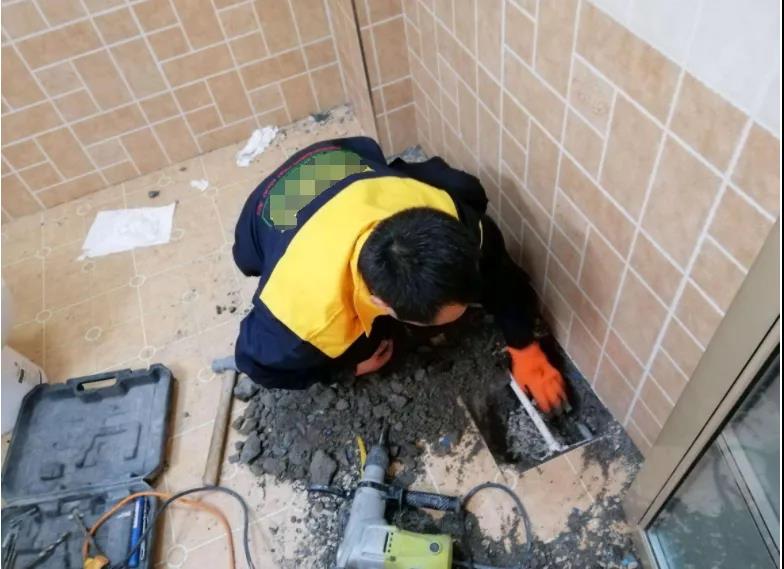 1630400696190114.jpg 10.jpg