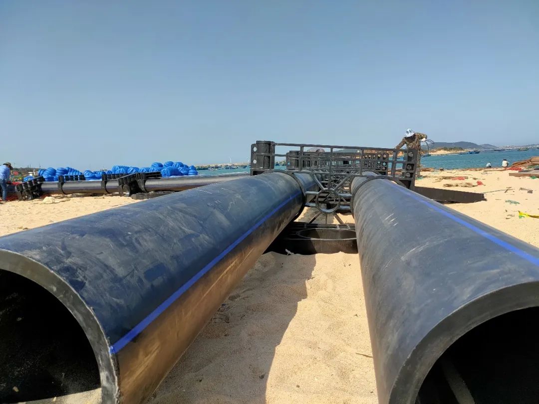 1660119248111981.jpg 10.jpg