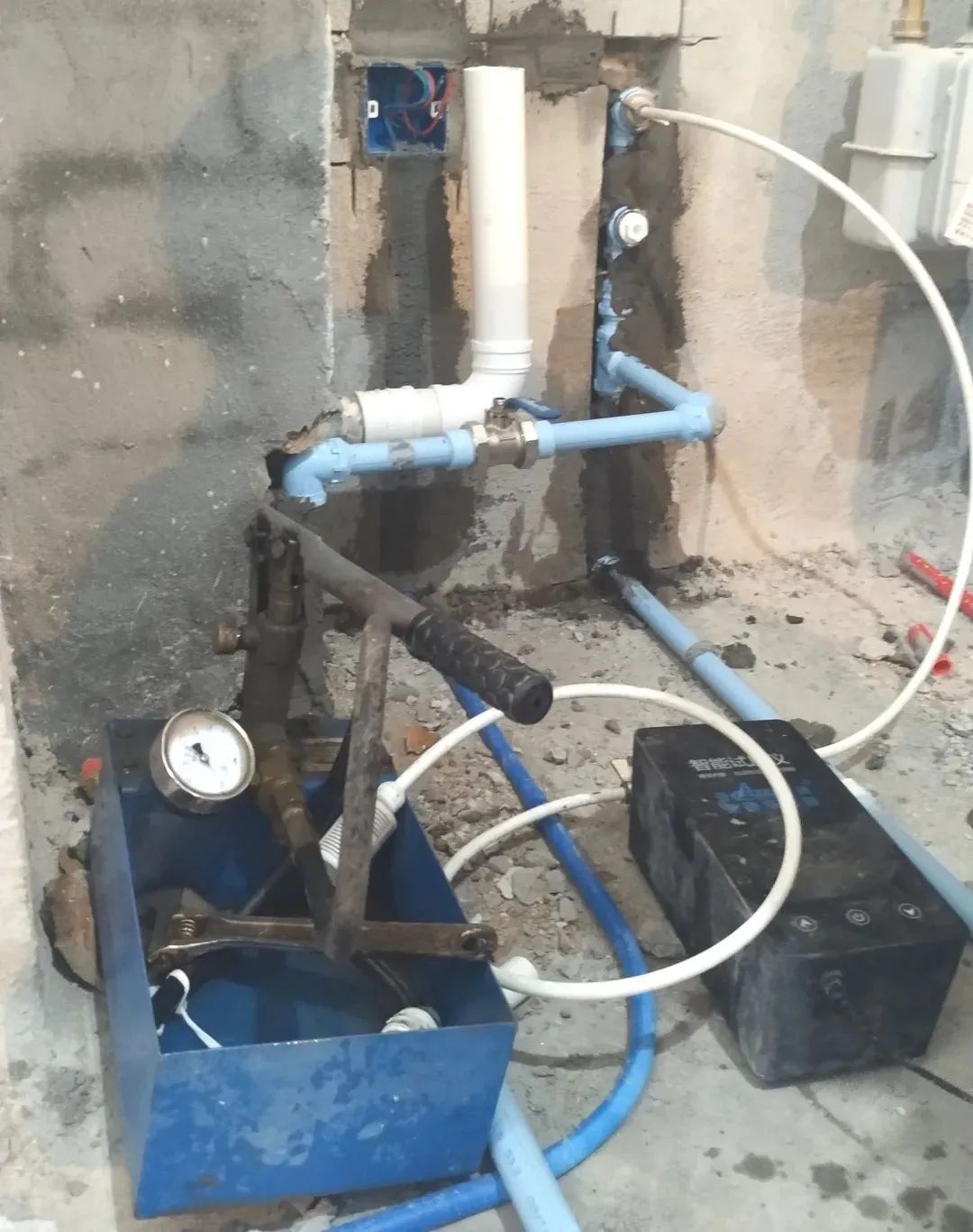 1660119860268260.jpg 6.jpg