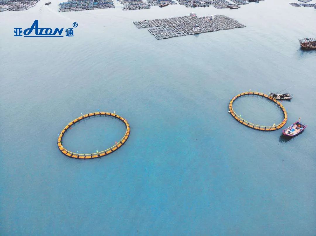 1660804259451446.jpg 10.jpg