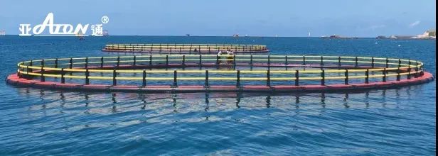 1660804340989515.jpg 17.jpg