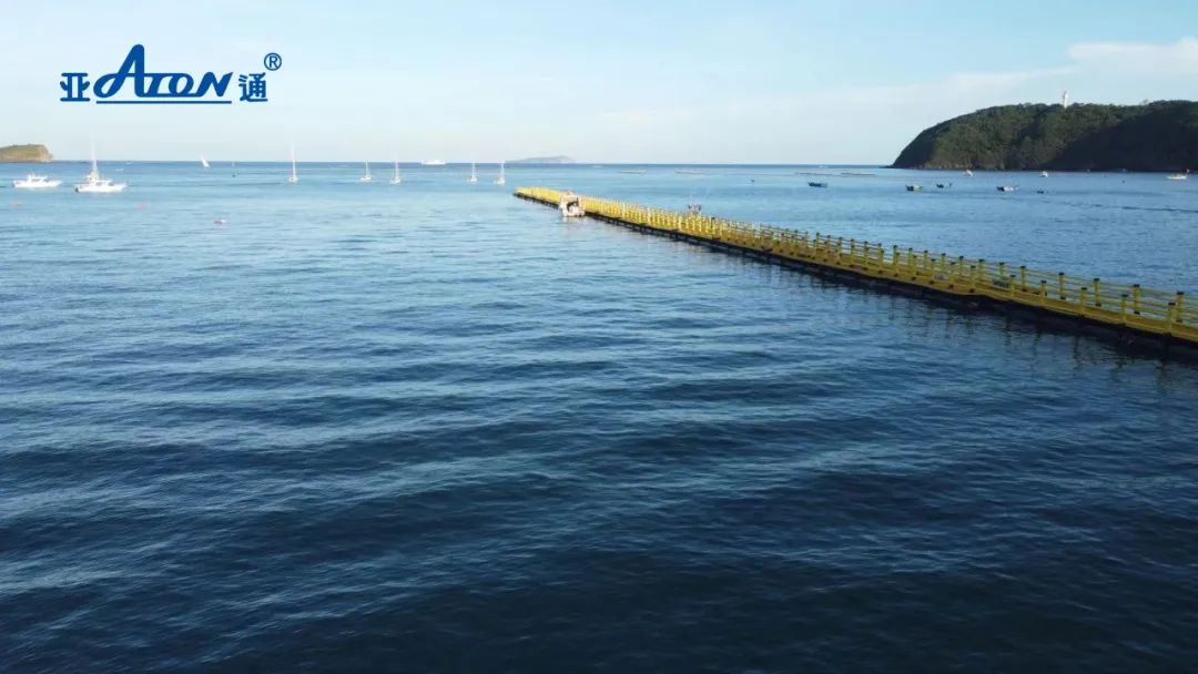 1662361470132202.jpg 11.jpg