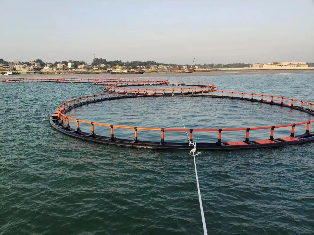 1664005835491250.jpg 4.jpg