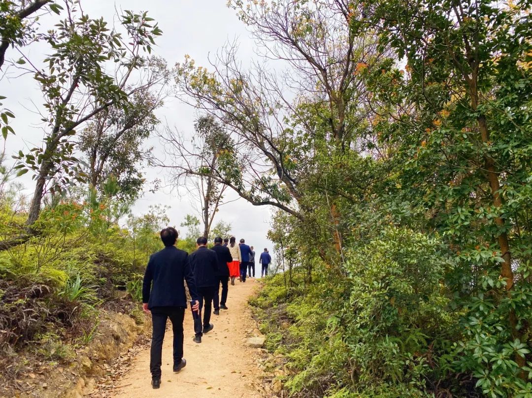 1679378272126479.jpg 8.jpg