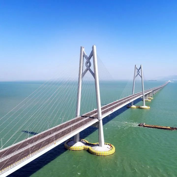 1681280731726419.jpg 2.jpg