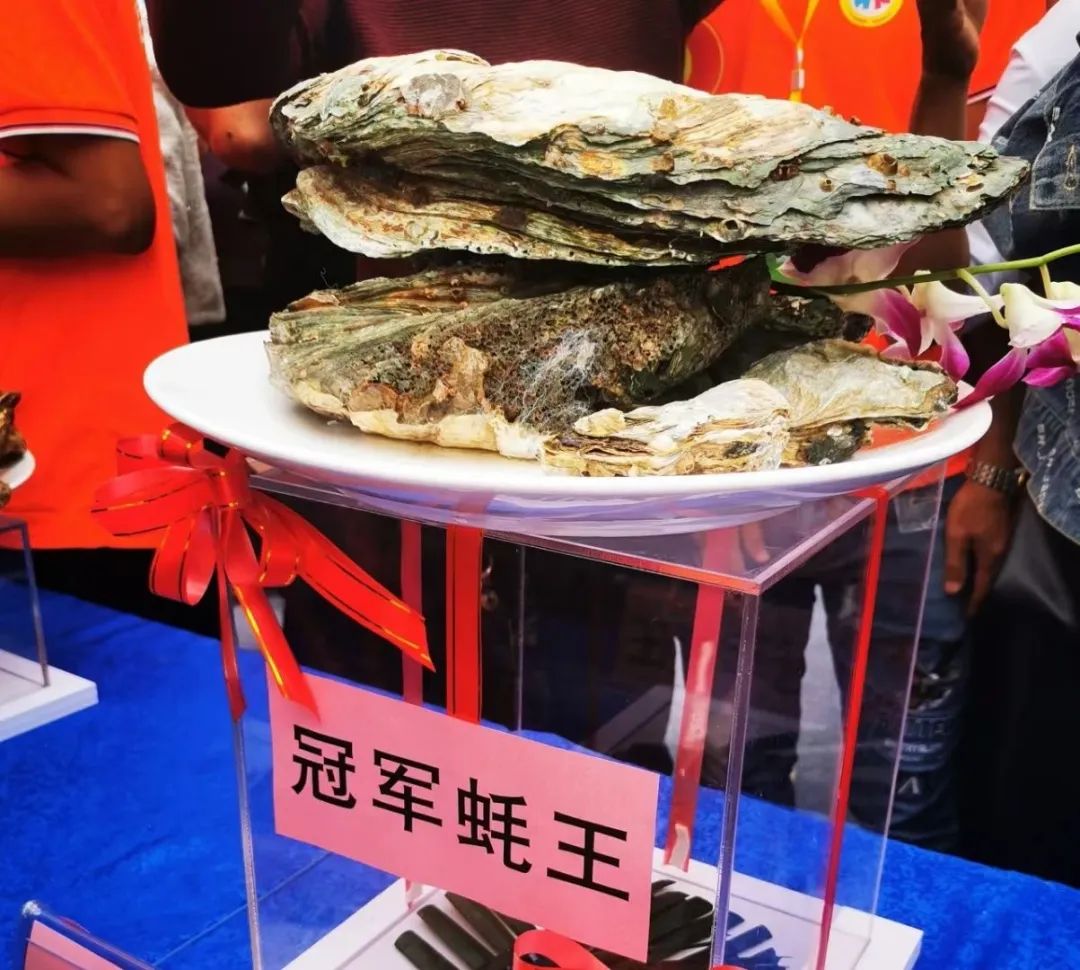 1701824066983706.jpg 2.jpg