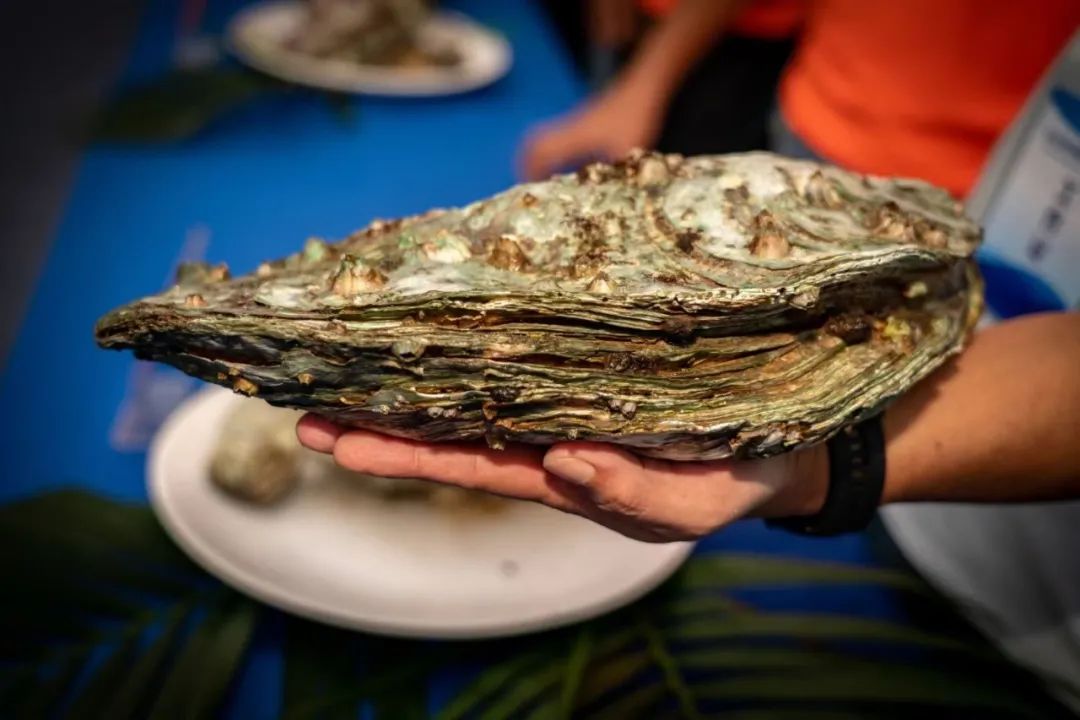 1701824081105126.jpg 4.jpg