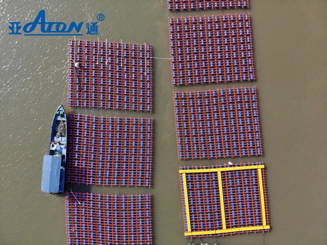 1701824126648919.jpg 10.jpg