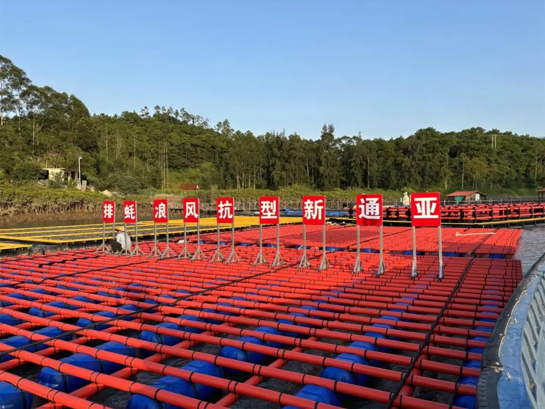 1701824150197343.jpg 13.jpg