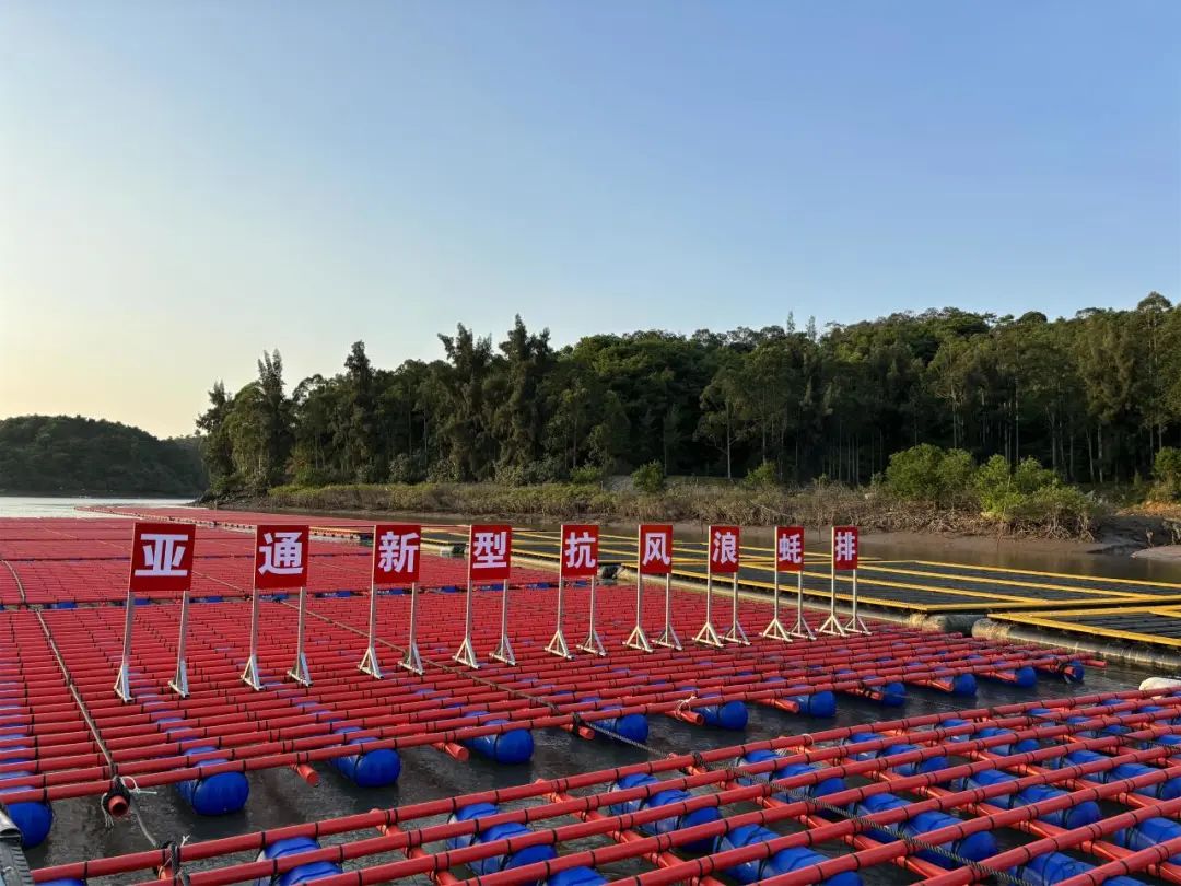 1701824158196138.jpg 12.jpg