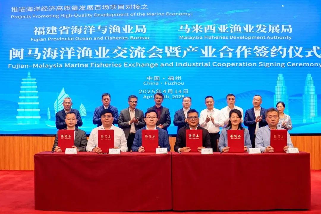 1746759650158486.jpg 4.jpg