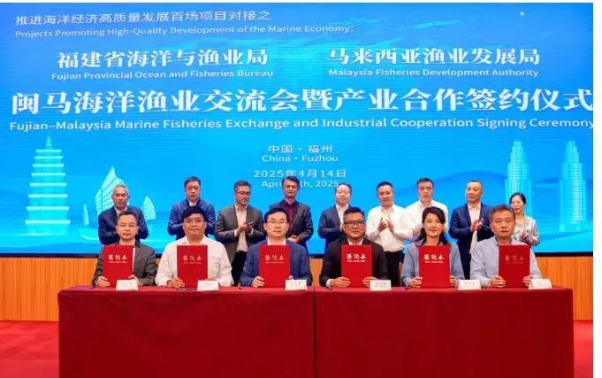 1770359979121267.jpg 15.jpg